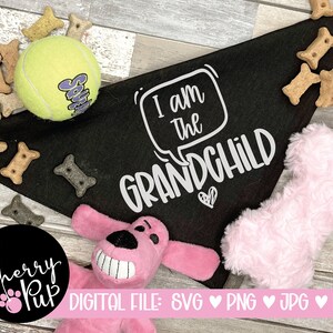 May include: Black bandana with white text that says "I am the Grandchild" with a heart. The bandana is surrounded by dog toys and treats.