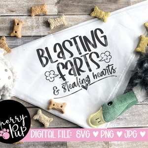 May include: White bandana with black text that reads "Blasting farts & stealing hearts". The bandana is surrounded by dog toys and treats.