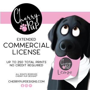 Extended Commercial Use License 250