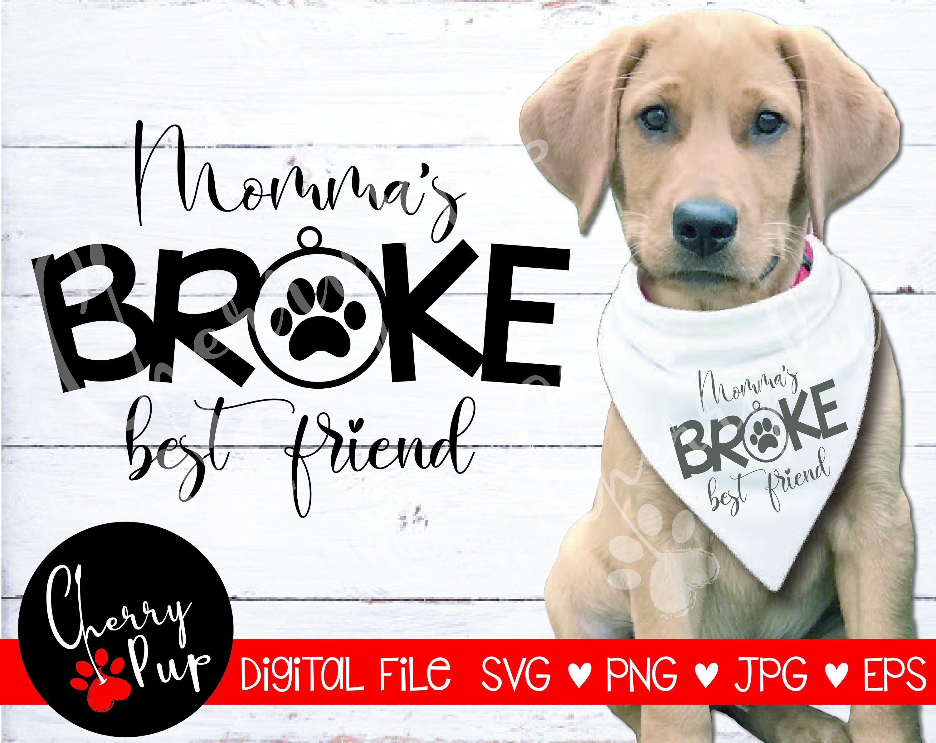 Download Svg Files For Cricut Png Files Momma S Broke Best Friend Etsy