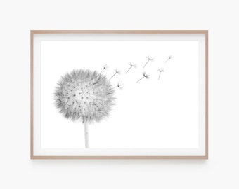 Stampa di tarassaco / Stampa di fiori di campo in bianco e nero / Poster di arte da parete della fattoria / Stampa di download digitale