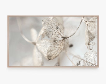 Samsung Frame TV Art / Arte digital botánico para Frame TV / Nature Wall Art / Descarga instantánea