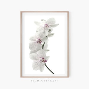 Orchid Wall Art Print | Orchid Printable Poster| Flower Print | Botanical Digital Download Print