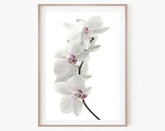 Orchid Wall Art Print | Orchid Printable Poster| Flower Print | Botanical Digital Download Print