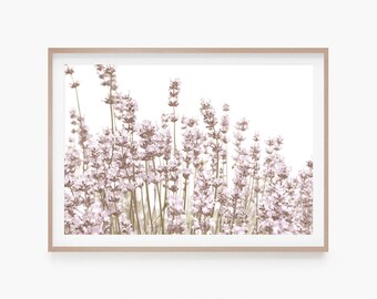 Lavender Wall Art Print | Wildflower Farmhouse Poster | Floral Botanical Digital Art