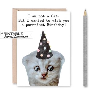 Funny Cat Birthday Card, I am Not a Cat Funny Birthday Card, Zoom Cat Filter, Purrfect Cat Card, Crazy Cat Lady Card, Instant Download