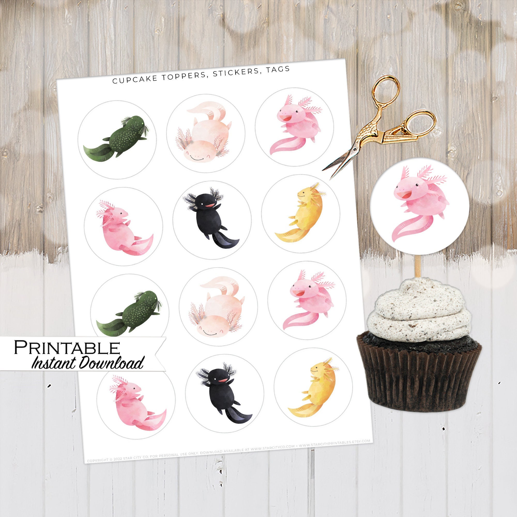 Axolotl Body 225-B569 Cake Topper