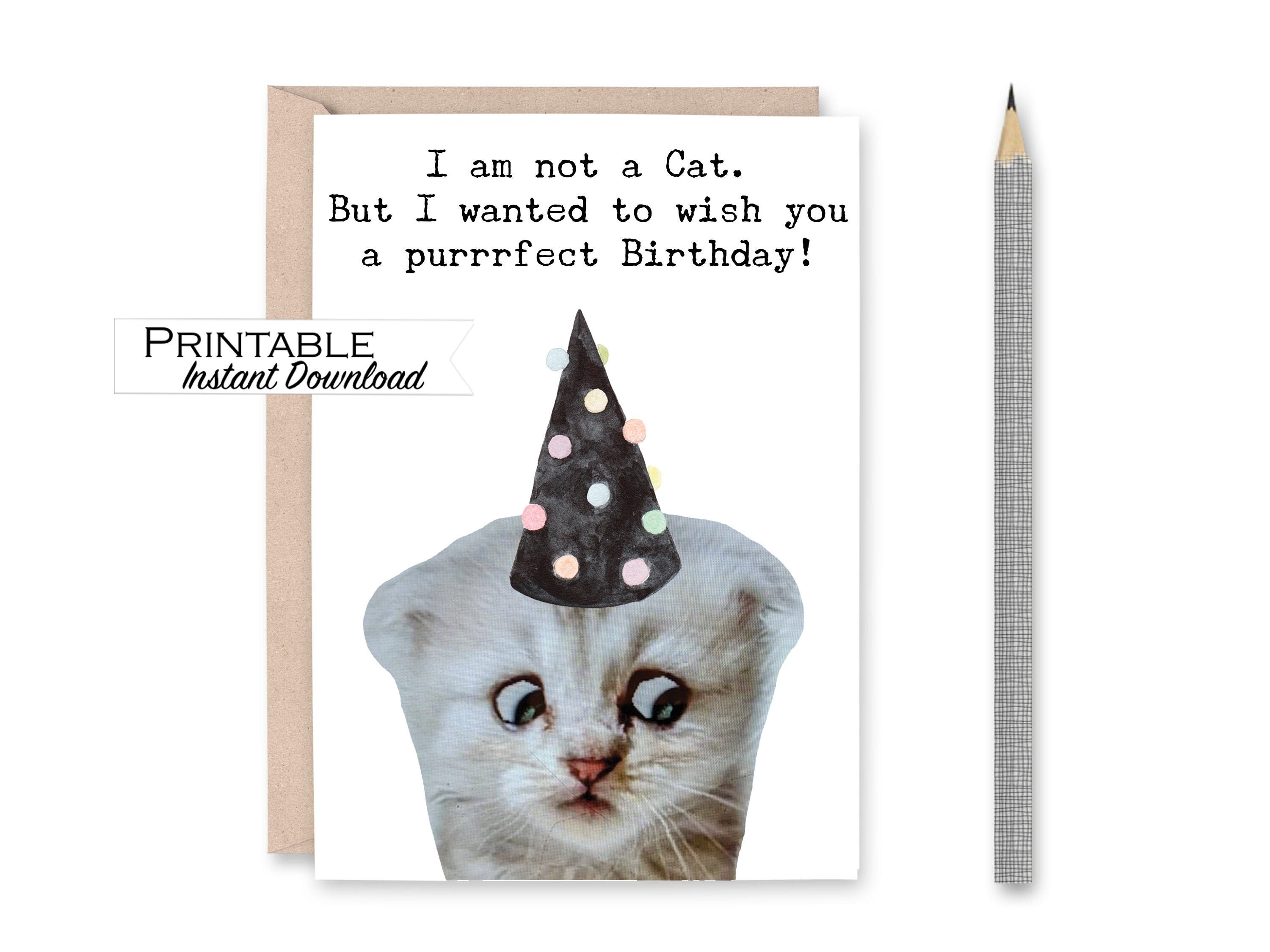 Funny Cat Happy Birthday Hooman Cat Lover Birthday Card