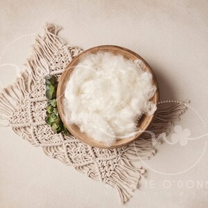 Digital Background - Digital Backdrop - Composite Backdrop - Newborn Backdrop -  boho - Textured - succulent - macrame - nature - boy girl