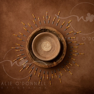 Digital Background - Digital Backdrop - IVF backdrop - Composite Backdrop - Newborn Backdrop - Bowl with IVF sun - Textured Backdrop
