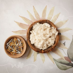 ivf newborn photo