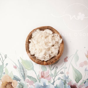 Digital Backdrop - Digital Backdrop Newborn - Digital Background Newborn - Digital Backgrounds for Photography Boy Girl