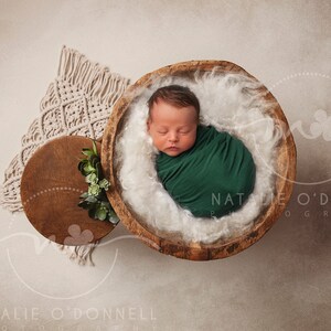 Digital Background - Digital Backdrop - Composite Backdrop - Newborn Backdrop -  boho - Textured - succulent - macrame - nature - boy girl