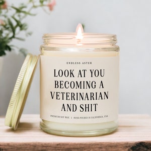 Look At You Becoming A VETERINARIAN Gift Box, Funny Vet Student Graduation Gift, Future Veterinarian Candle Gift for Vet Doctor