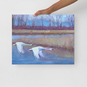 Swan oil Painting, painting of Swans, Print from Original Oil Painting, Swans Flying, Swan Migration, Swans Migrating, White Swans