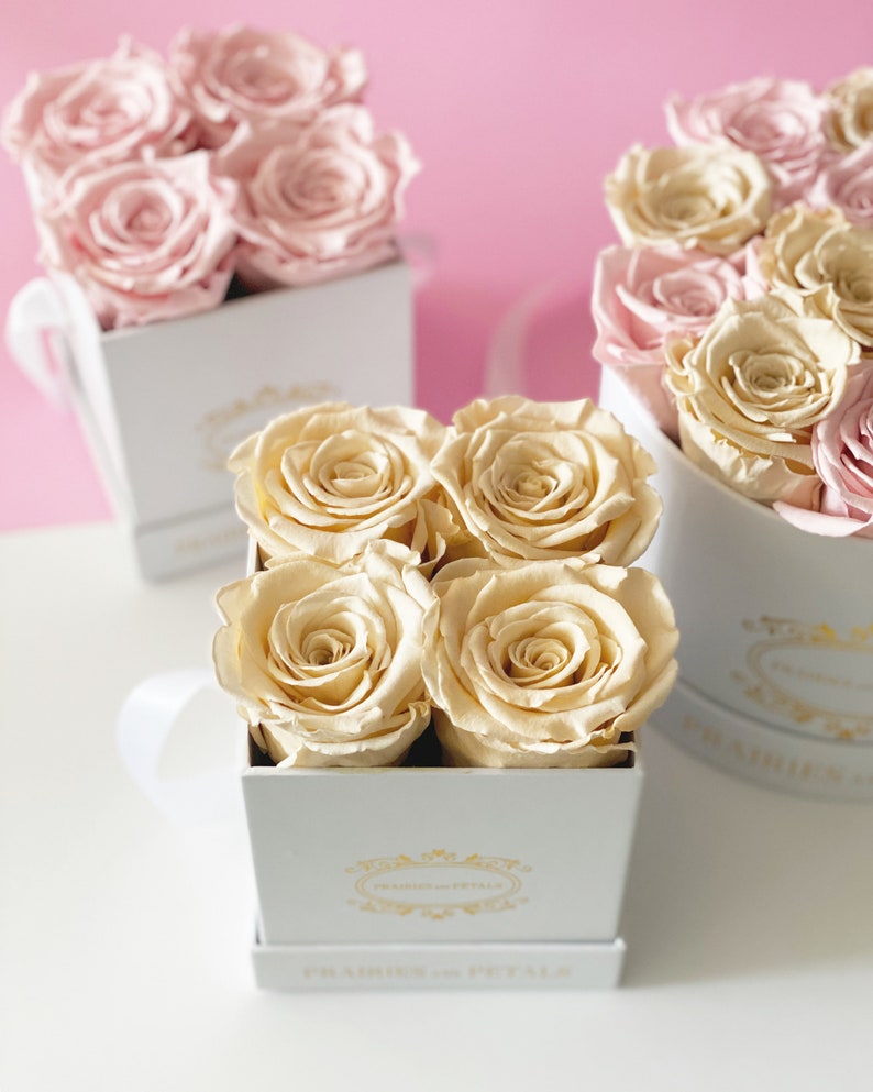 One Year Roses Gifts for Her Box of Roses Forever Roses Etsy Canada