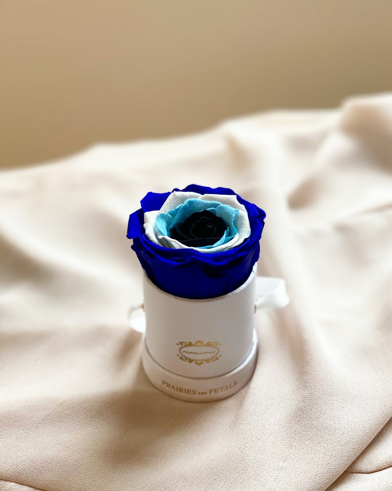 One Year Roses Evil Eye Evil Eye Charm Forever Roses Rose Etsy Canada