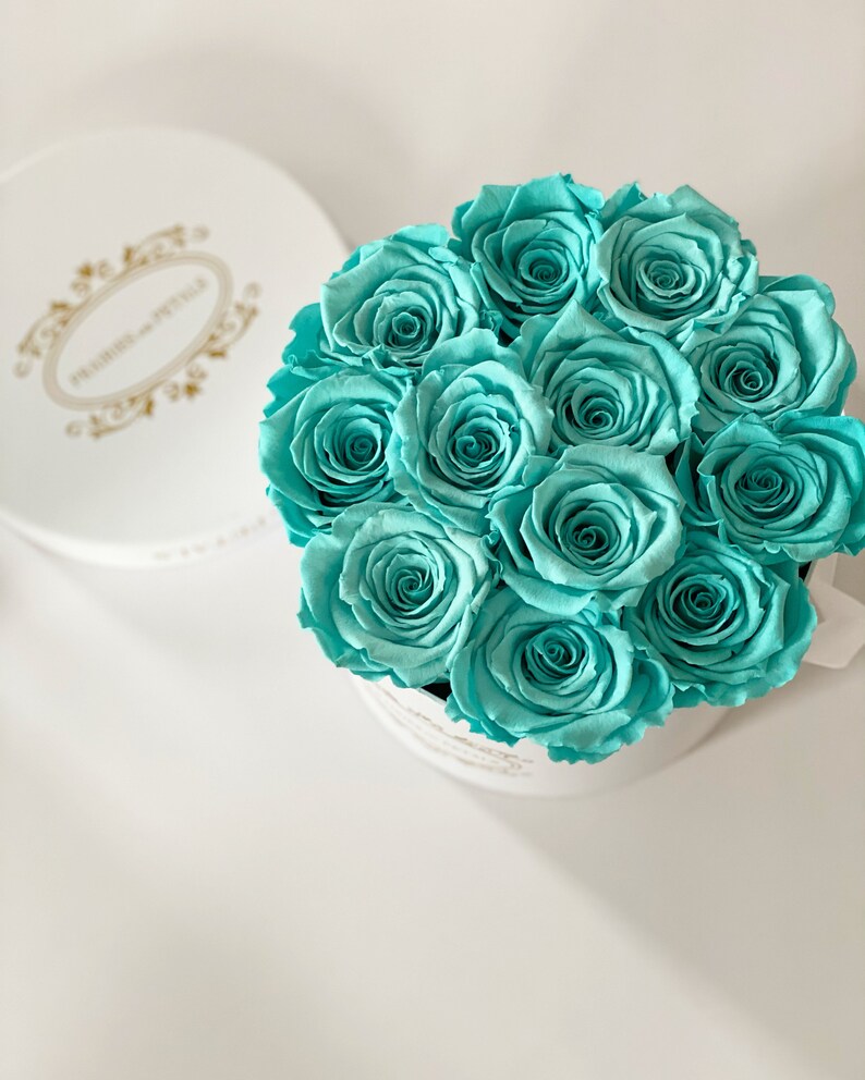 One Year Roses Gifts for Her Forever Roses Everlasting Etsy Canada