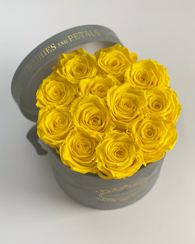 One Year Roses Gifts for Her Forever Roses Everlasting Etsy Canada