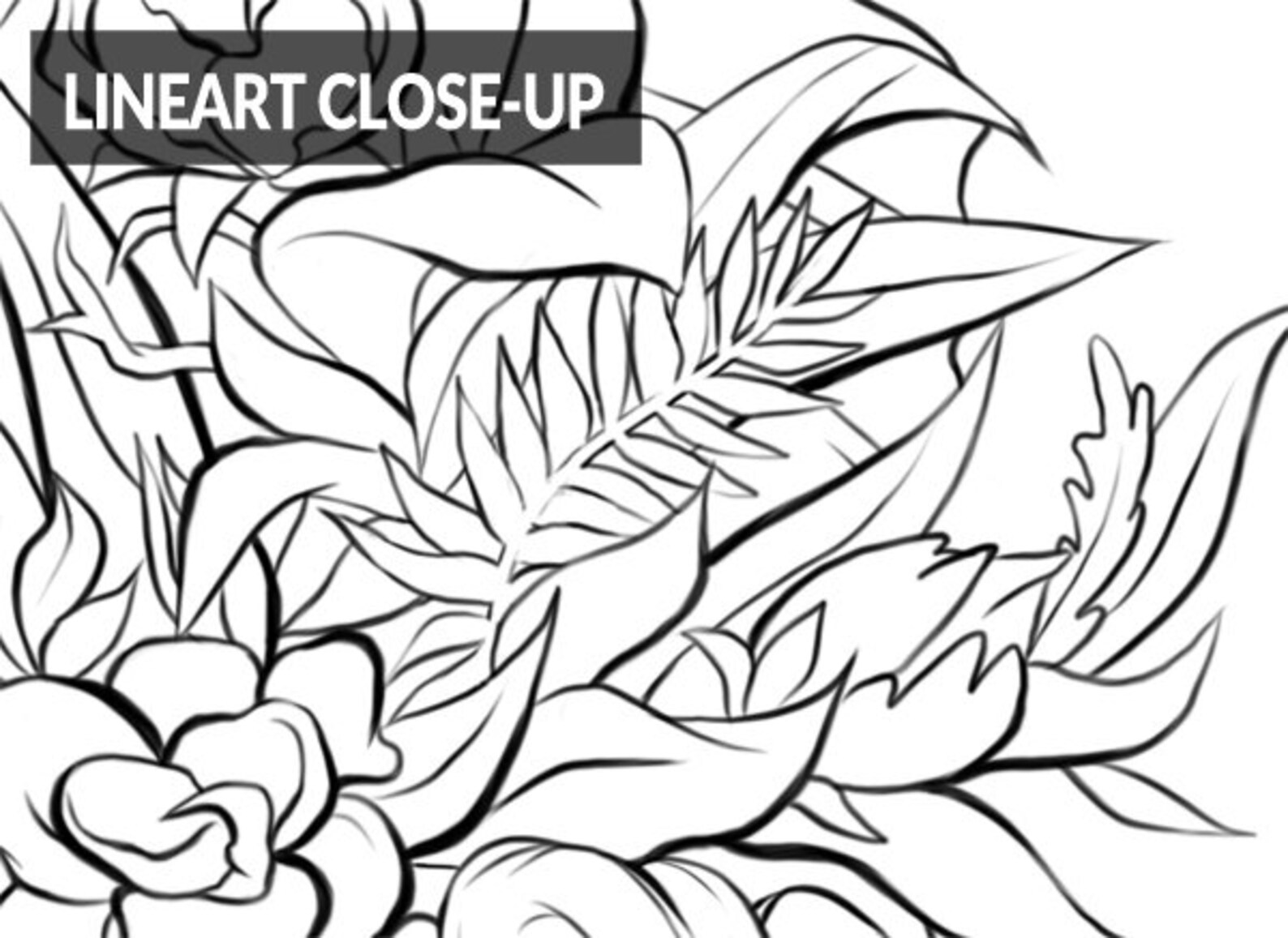 fantasy-elves-printable-coloring-page-traditional-and-etsy-uk