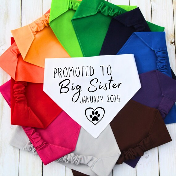 Scrunchie Pet Bandana, Baby Announcement Dog Bandana, New Dog Mom Gift, Baby Shower Gift, Slip on Pet Scarf, New Pet Gift, Cat Bandana