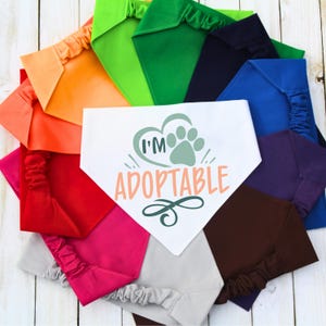 Può includere: Un bandana bianco per cani con il testo "I'm Adoptable" in nero e un'impronta di zampa verde all'interno di un cuore. Il bandana è circondato da una varietà di bandana colorati in diversi colori, tra cui rosso, arancione, giallo, verde, blu, viola, rosa, marrone e grigio.
