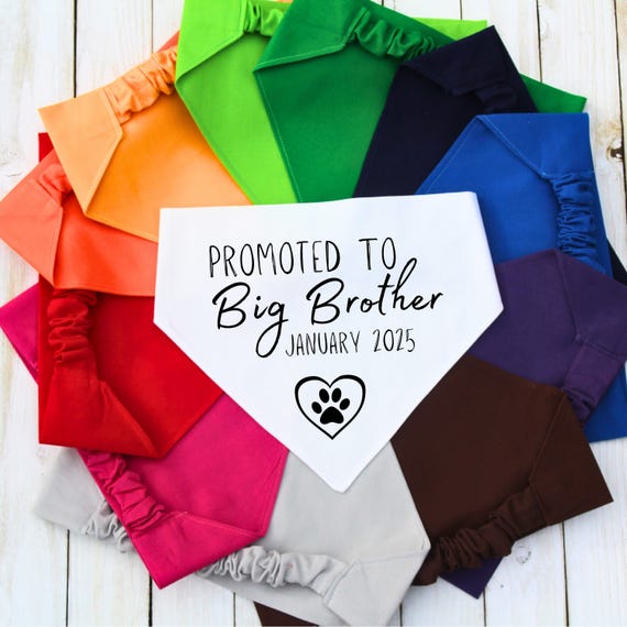 Scrunchie Pet Bandana, Baby Announcement Dog Bandana, New Dog Mom Gift, Baby Shower Gift, Slip on Pet Scarf, New Pet Gift, Cat Bandana