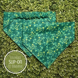 Scrunchie Dog Bandana, St. Patrick&#39;s Day Pet Bandana, Lucky Pup Shamrock, Dog Mom Dog Dad Gift, Personalized New Dog Gift, Cat Bandana