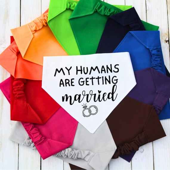 Scrunchie Pet Bandana, Wedding Announcement Bandana, My Humans Are Getting Married, Engagement Gift, Dog Mom Gift, Cat Bandana, Marriage