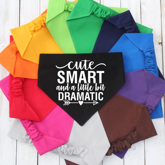 Scrunchie Dog Bandana, Cute Pet Bandana, Cat Bandana, Dramatic Pet Bandana, Gift for Dog Mom, New Dog Gift, Funny Dog Bandana