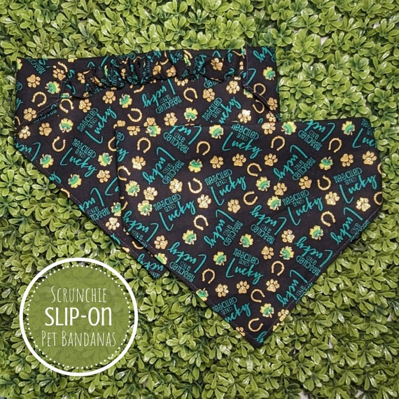 Scrunchie Dog Bandana, St. Patrick's Day Pet Bandana, Rescue Dog Bandana, Dog Mom Dog Dad Gift, Personalized New Dog Gift, Cat Bandana