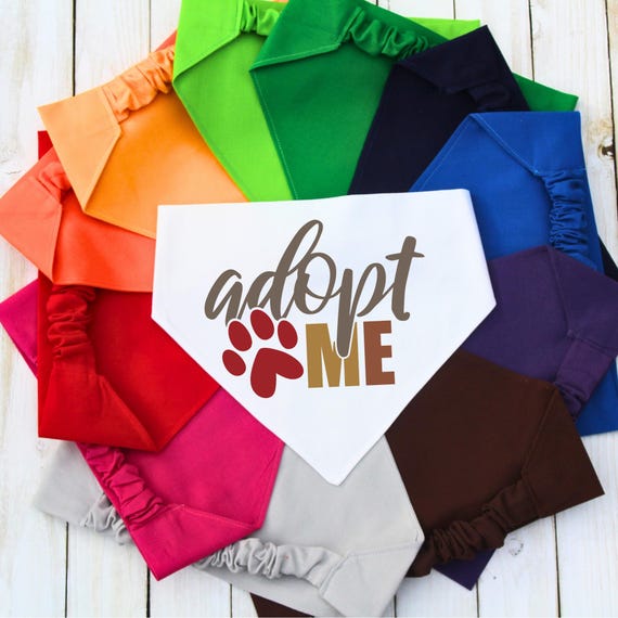 Scrunchie Pet Bandana, Adopt Me Dog Bandana, Adoptable Pet Bandana, New Dog, Dog Mom Gift, Adoption Awareness, Promote Pet Adoption