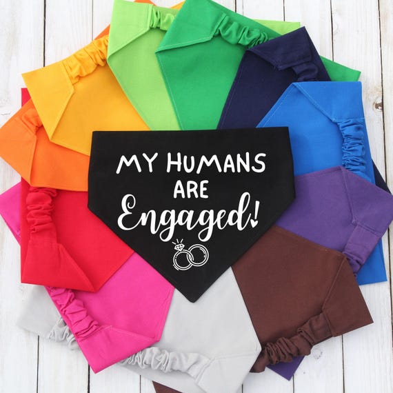 Scrunchie Pet Bandana, Engagement Announcement Bandana, My Humans Are Engaged, Engagement Gift, Dog Mom Gift, Cat Bandana, Marriage