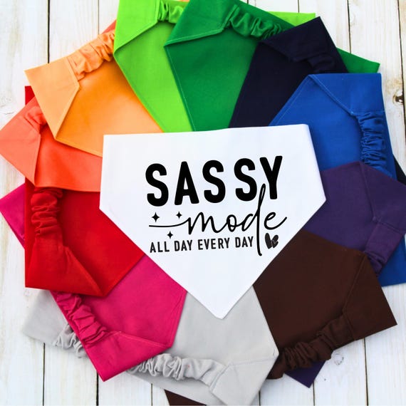 Scrunchie Pet Bandana, Personalized Dog Bandana, Custom Pet Bandana, Gift for Dog Mom, New Dog Gift, Funny Dog Gift, Sassy Dog Bandana