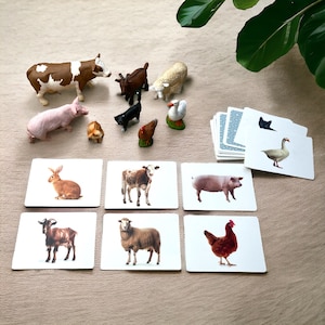 Jeu d'association - Identifier et associer les bébés animaux et leurs mères - Jouet Montessori pour les tout-petits - Jeu de cartes avec figurines d'animaux de Schleich®