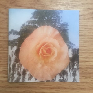 Remind Zine