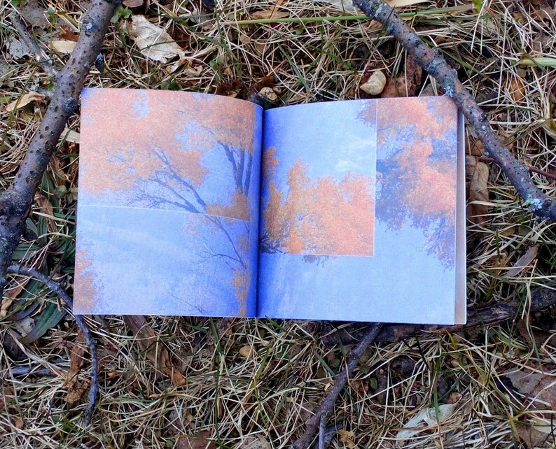 Poetry & Collage Zine Etsy