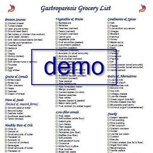 Extended Gastroparesis Grocery List Shopping List Printable Instant Download Pdf Essentials for Healthy Stomach