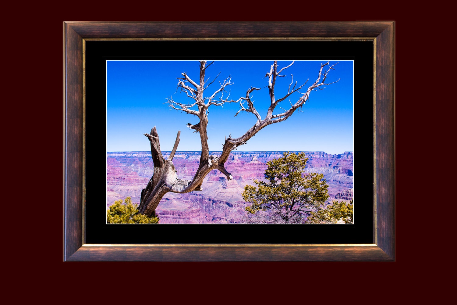 Southwestern Decor Photo Driftwood Wall Art National Park - Etsy