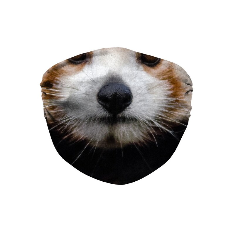 Red Panda Face Mask With 5 Layers PM2.5 Carbon Filter | Etsy