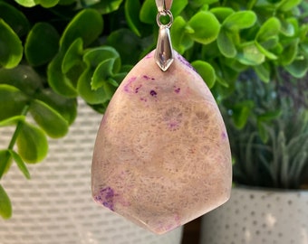 天然菊珊瑚化石ペンダント 59.5カラット - Etsy 日本