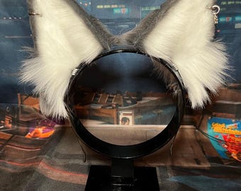 Construye tus orejas caninas