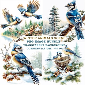 May include: A digital collage of four images featuring blue jays in a winter scene. The birds are perched on branches, flying, and in a nest. The background is a snowy forest with pine trees.