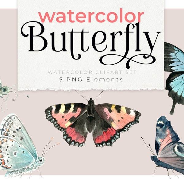 Watercolor Butterfly Clipart, Colorful Butterflies Illustrations, Schmetterling Watercolor PNG, Pfauenauge, Kleiner Fuchs, Kohlweißling