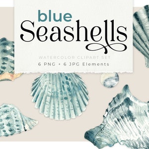 Blue Seashell watercolor cliparts, shell illustration, coastal feeling, beach vibe, aquarelle seashell painting, PNG clipart