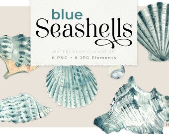 Blauwe Zeeschelp aquarel cliparts, shell illustratie, kustgevoel, strand vibe, aquarel schelpen schilderen, PNG clipart