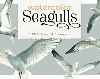 Seagull aquarel clipart set, meeuw illustratie, kust gevoel, maritim vibe, aquarel seagull schilderij, Möwen PNG clipart, Lachmöwe