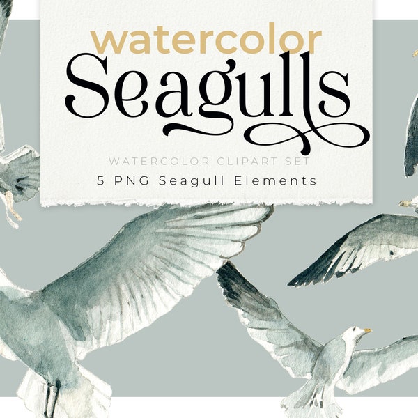 Seagull watercolor clipart set, seagull illustration, coastal feeling, maritim vibe, aquarelle seagull painting, Möwen PNG clipart, Lachmöwe