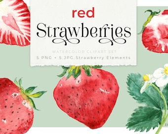 aquarel RODE AARDBEI cliparts, aardbeien fruit illustratie, aardbei bloem transparant PNG, Erdbeere, gezond leven, picknick