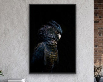 black cockatoo print dom black cockatoo print dom